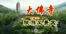 操黑毛大骚逼免费视频中国浙江-新昌大佛寺旅游风景区